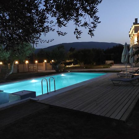 Villa Penelope Kalpaki  Bagian luar foto